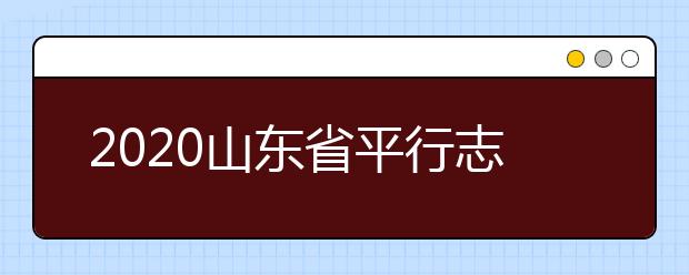 2020山東省平行志愿怎么報？平行志愿分幾類？