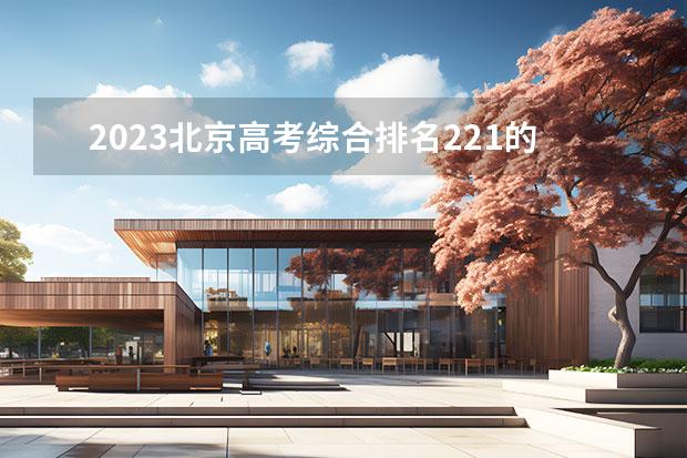 2023北京高考綜合排名221的考生報什么大學(xué)